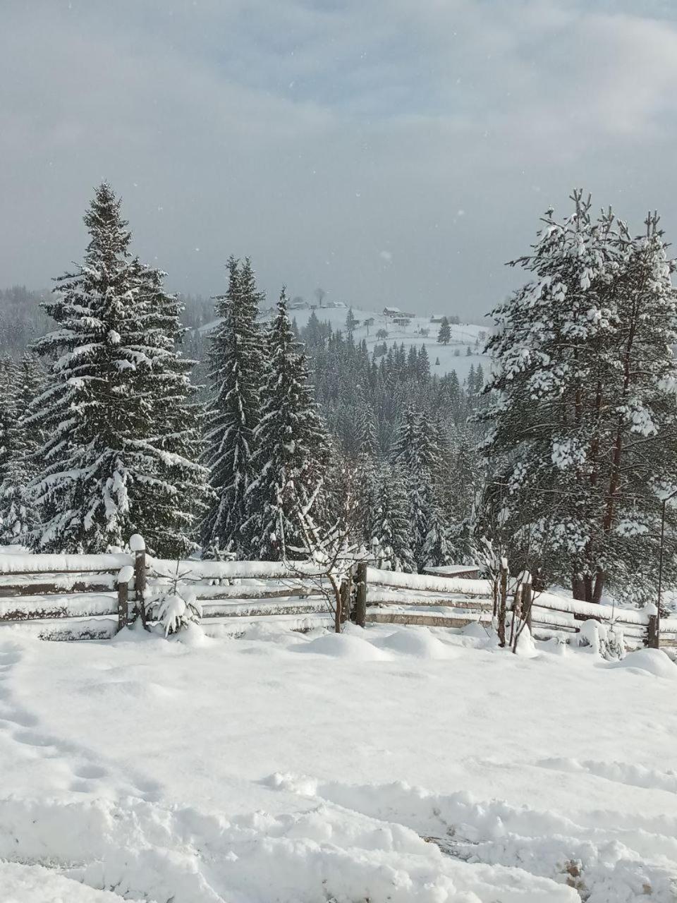 Котеджі Зоряне Небо Bukowel Exterior foto